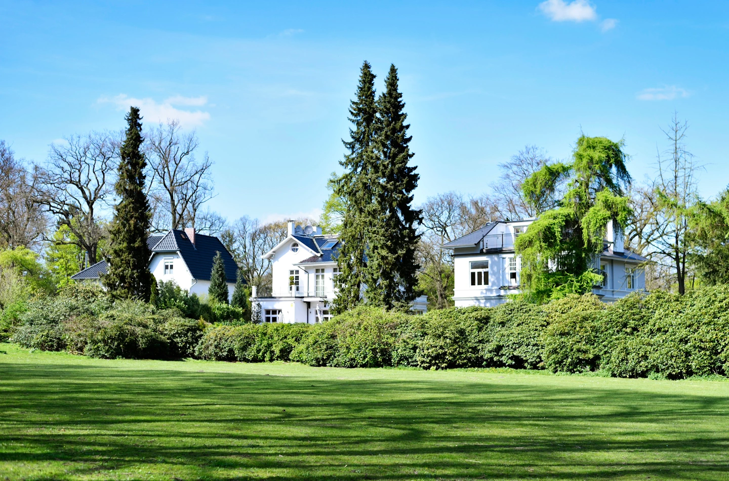Friends Immobilien