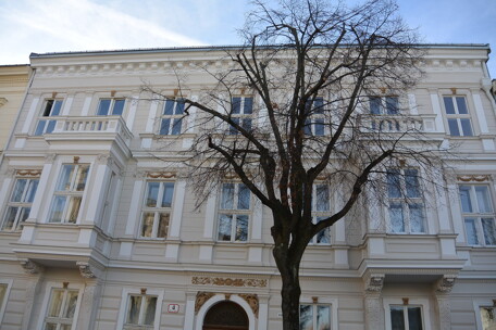 DSC_7475.JPG