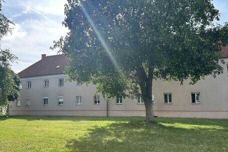 IMG_3271.jpeg