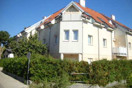 DSC03103.JPG