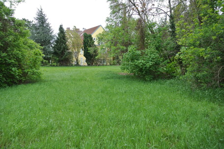 DSC_9937.JPG