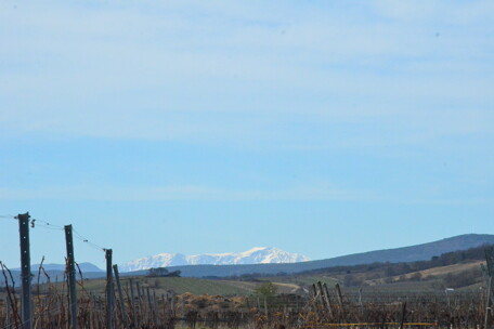 Schneeberg-Blick