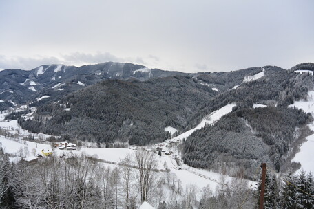 DSC_8856.JPG