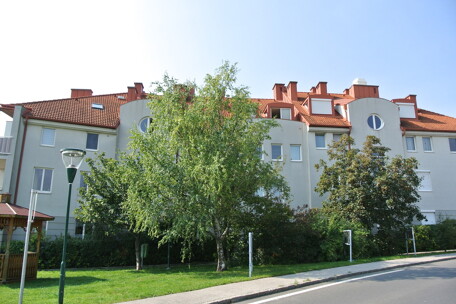 DSC_5214.JPG