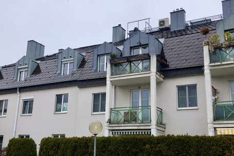 IMG_9232.jpeg