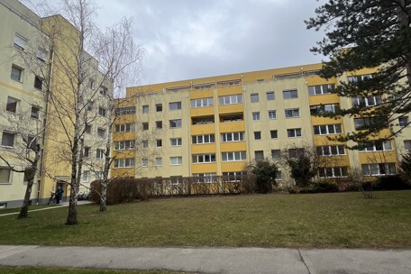 IMG_7897.jpeg