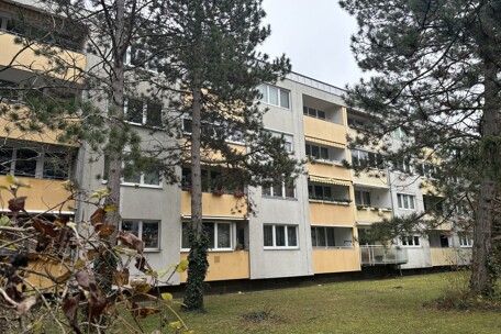 IMG_8106.jpeg